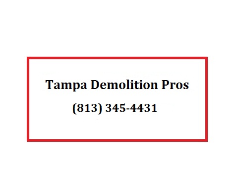 Tampa Demolition Pros's Logo