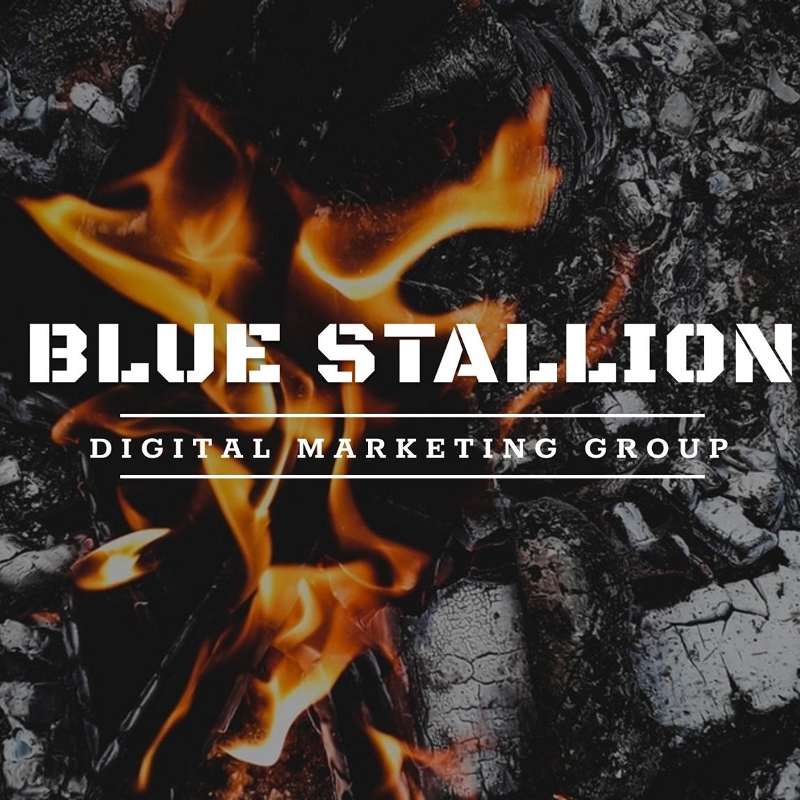 Blue Stallion Digital Marketing Group's Logo