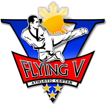 Flying V Martial Arts - Chicago
