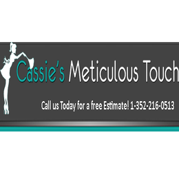 Cassie's Meticulous Touch's Logo