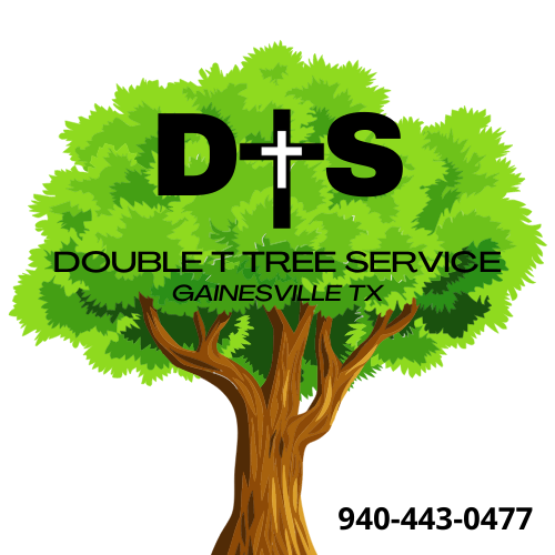 Double T Tree Service's Logo