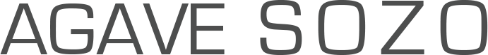 Agave Sozo's Logo