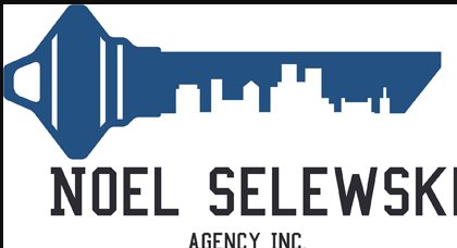 Noel Selewski Agency, Inc.'s Logo