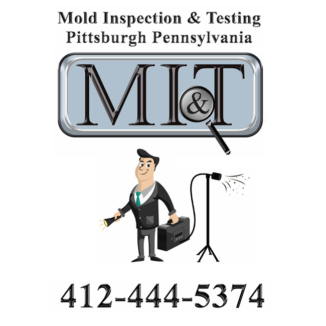 Mold Inspection & Testing Pittsburgh PA's Logo