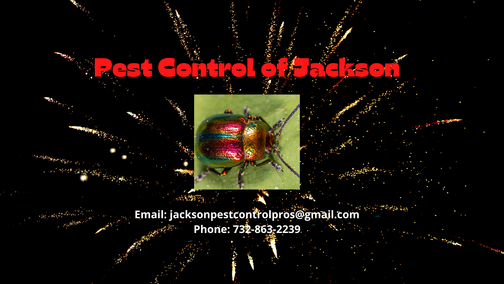 Pest Control of Jackson