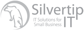 Silvertip IT's Logo