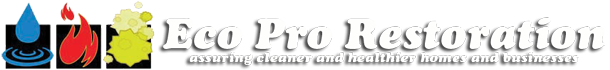 Eco Pro Restoration's Logo