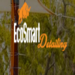 EcoSmart Detailing LLC's Logo