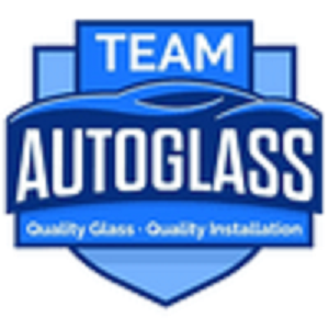 Team Auto Group's Logo