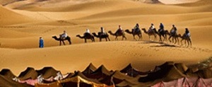 Morocco Desert tours's Logo