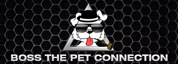 Boss the Pet Connection's Logo