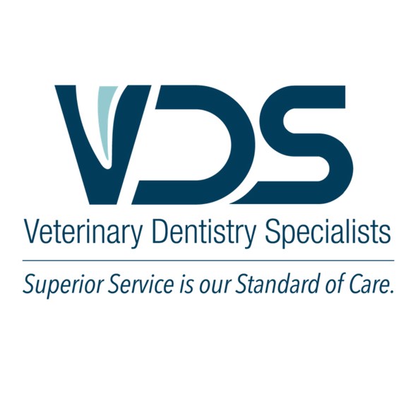 Veterinary Dentistry Specialists's Logo