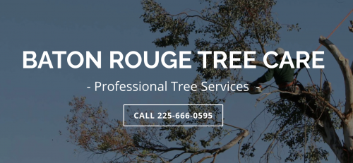 Baton Rouge Tree Company's Logo