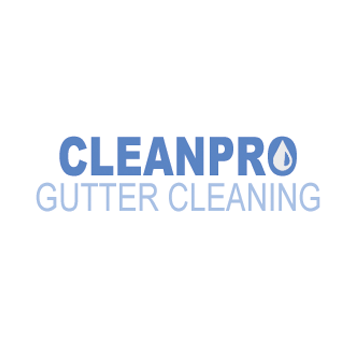 Clean Pro Gutter Cleaning Austin's Logo