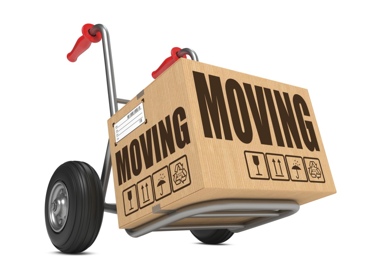 Rising Star Movers