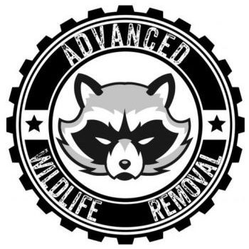 Advanced Wildlife Removal's Logo
