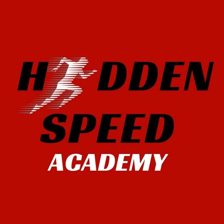 Hidden Speed's Logo