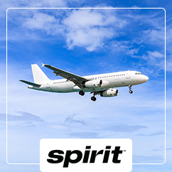 Spirit Airlines's Logo