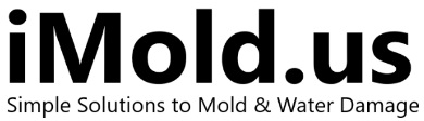 iMold US Flood & Water Damage Restoration Service Fort Myers FL - Mold Testing & Inspection's Logo