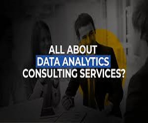 Data & Analytics * Data Strategy * Innovation Vista's Logo