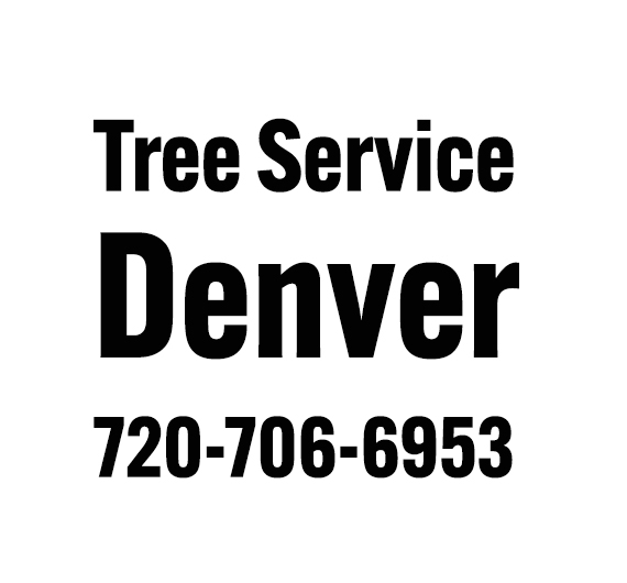 Tree Service Denver's Logo