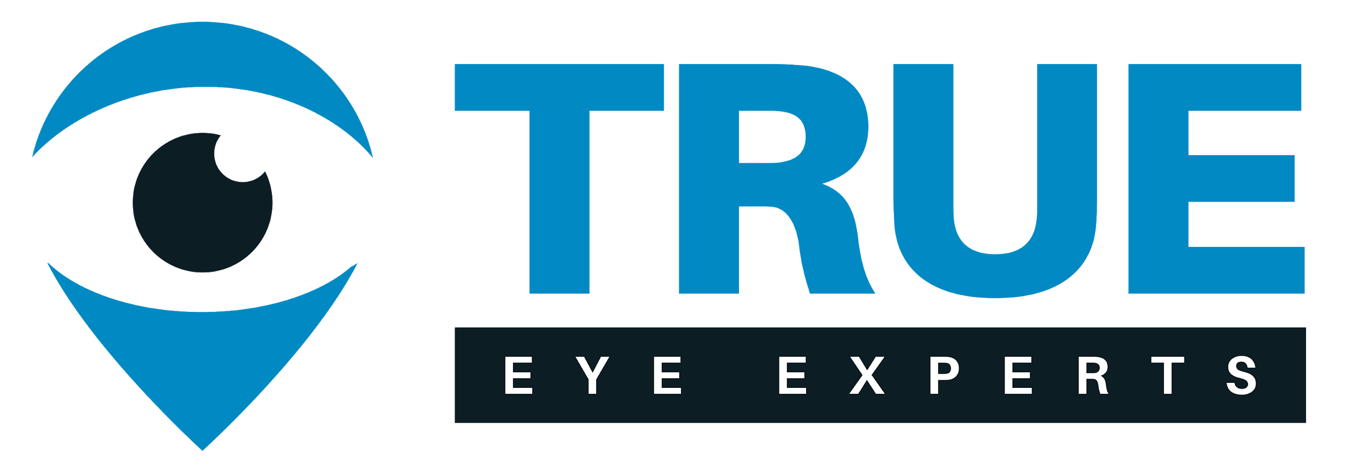 True Eye Experts of Lutz's Logo