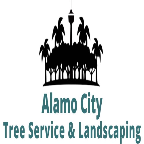 Alamo City Tree Service & Landscaping