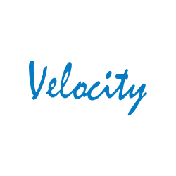 Velocity Software Solutions Pvt Ltd's Logo