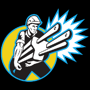 Electrician Springfield VA's Logo