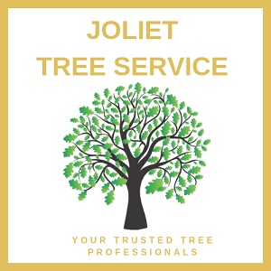 Joliet Tree Care's Logo