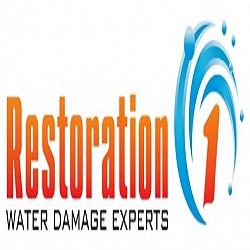 Restoration 1 of Gastonia- Fire, Mold & Water Damage Experts's Logo
