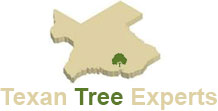 Texan Tree Experts's Logo