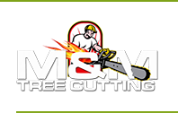 Bronx Tree Cutting Company At Unbeatable Prices's Logo