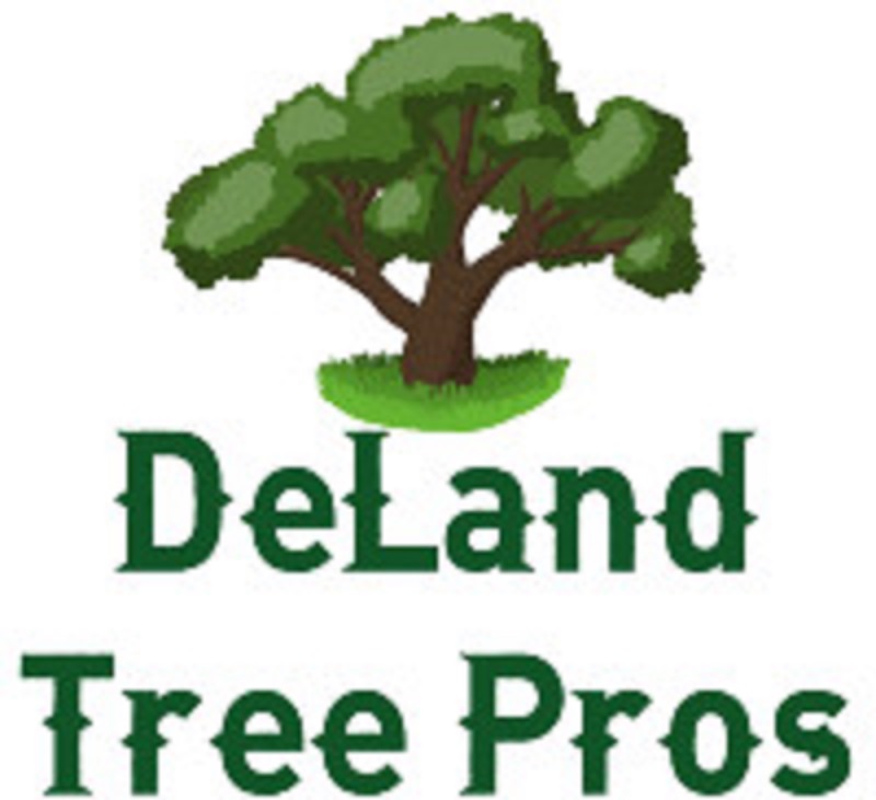 DeLand Tree Pros's Logo