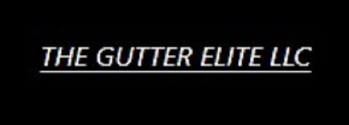 The Gutter Elite LLC's Logo