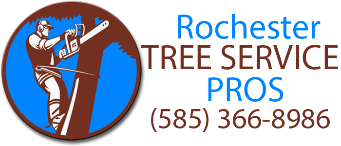 Rochester Tree Service Pros's Logo