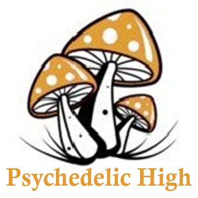 Psychedelic High's Logo