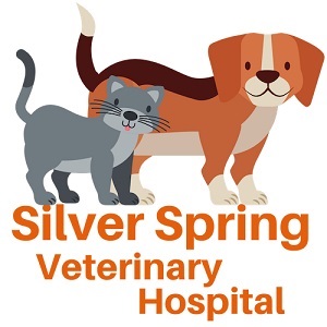 Silver Spring Veterinary Hospital's Logo