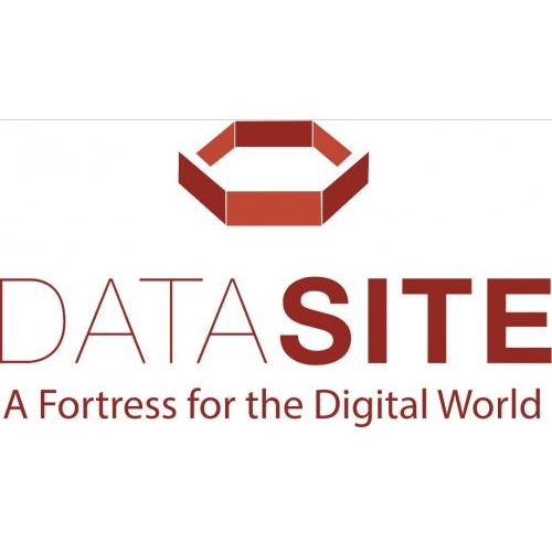 DataSite's Logo