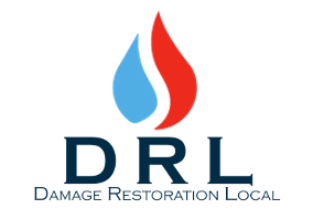 DRL Service Pros's Logo