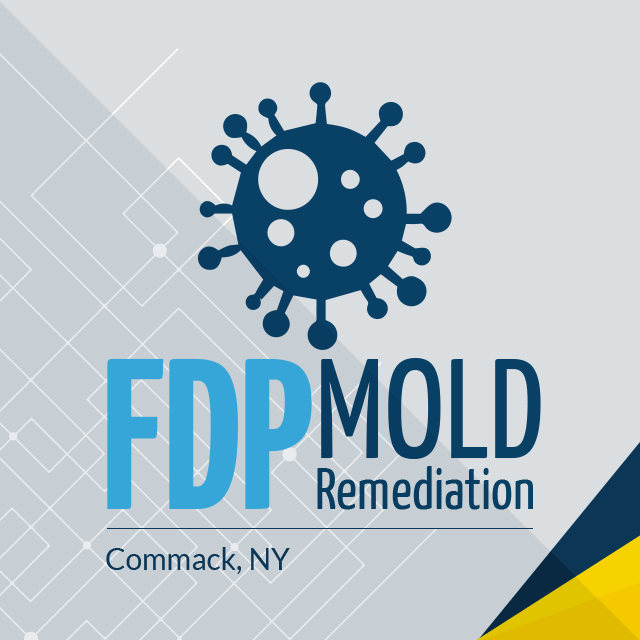FDP Mold Remediation of Commack's Logo