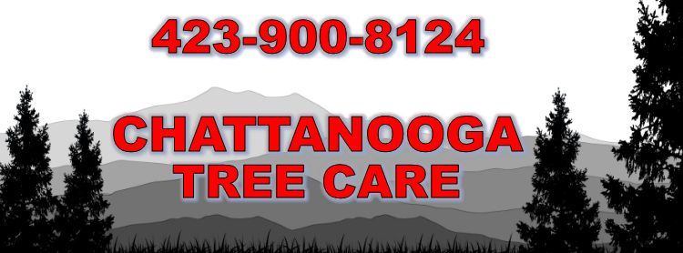 Chattanooga Tree Care 4239008124