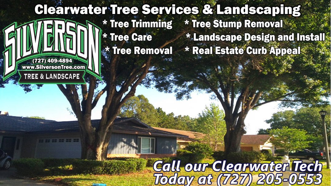 Silverson Tree Services & Landscaping - Clearwater's Logo