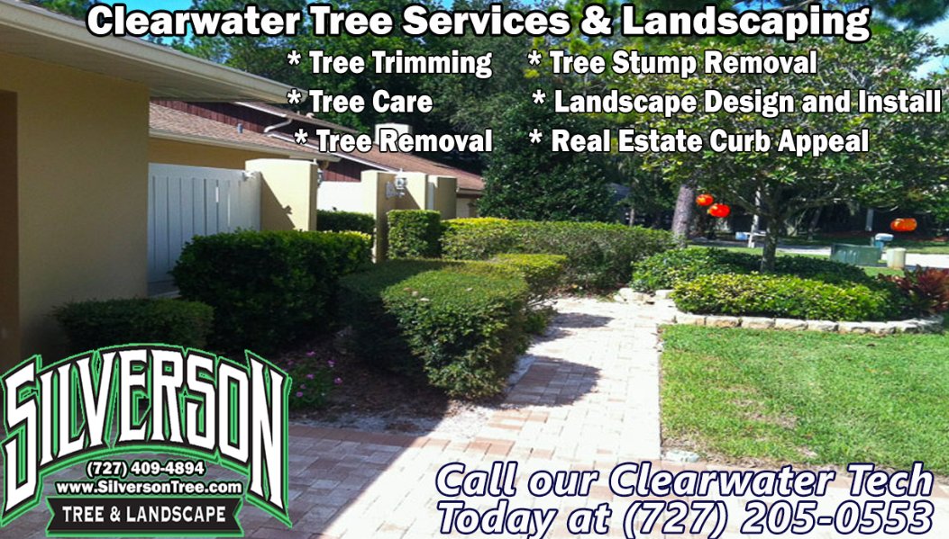 Silverson Tree Services & Landscaping - Clearwater