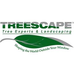 Treescape Charlotte's Logo