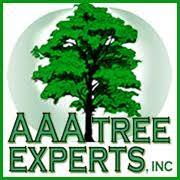 AAA Tree Experts's Logo