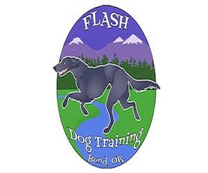 Flash Dog Training's Logo