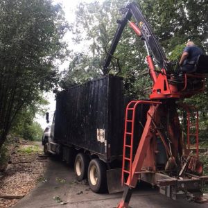 For Large Tree Removal