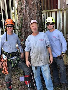 Our Tree Service Team