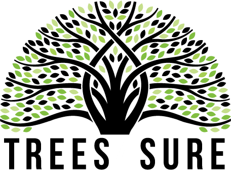 Trees 4 Sure's Logo
